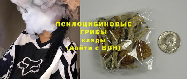 стафф Аркадак
