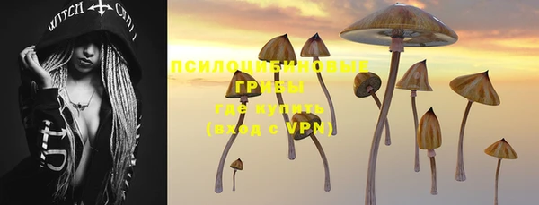 тгк Армянск