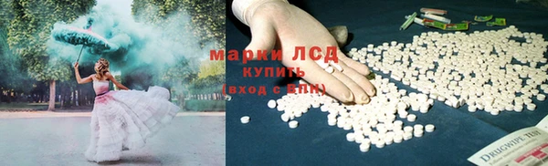 тгк Армянск