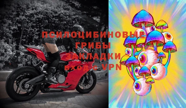 тгк Армянск