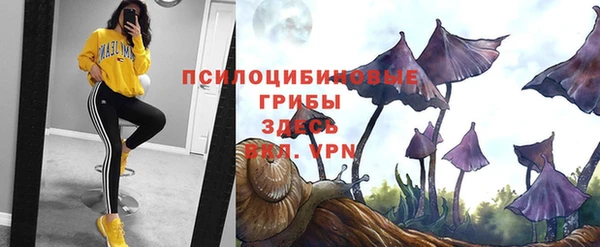 стафф Аркадак